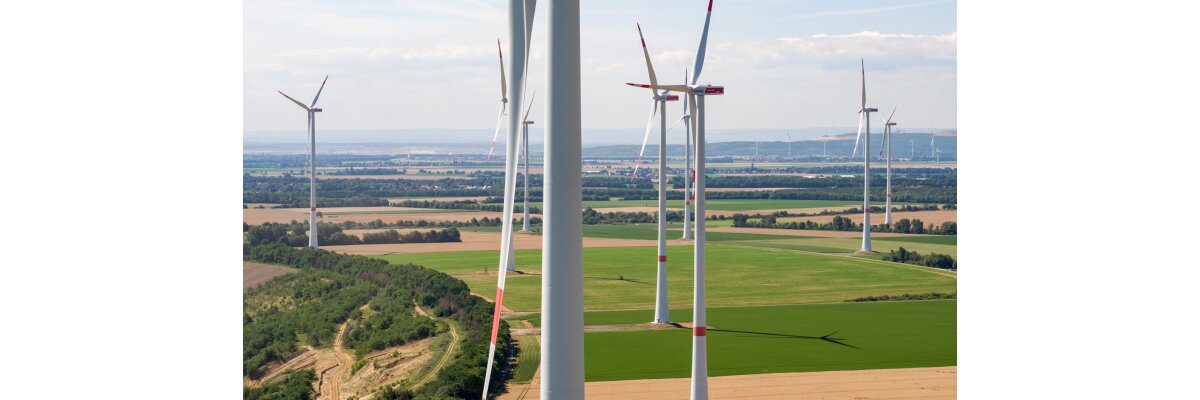 Langsame Regierung: Erneuerbaren-Landesverband schreibt Gesetzentwurf für Windpark-Repowering selbst - 